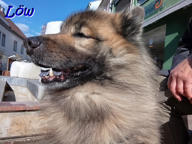 3.4.2026 - Dwix unterwegs
